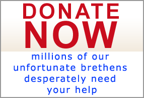 donate now