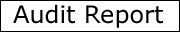Audit Report